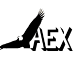 Copy of AEX 2 (4)